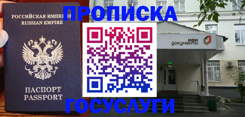 временная регистрация гарантия в Палласовке